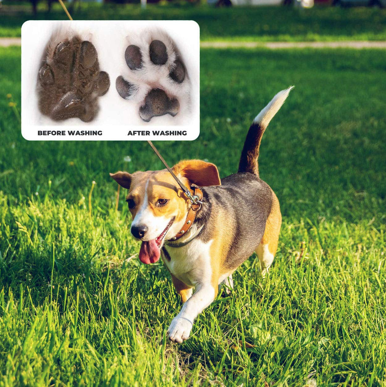 4 Pcs Portable Dog Paw Washer Cleaner Set, 2 in 1 Silicone Dog Cleaning Brush Large Dog Feet Cleaner Cup with Premium Towel, Finger Toothbrush and Pet Grooming Bath Brush for Dogs & Cats (L)