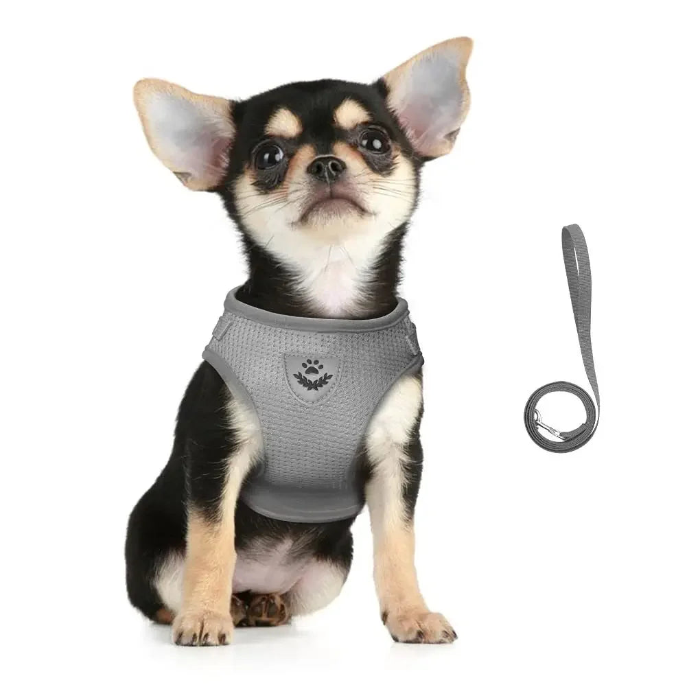 Adjustable Reflective Cat Harness and Leash Set - Escape-Proof Mesh Vest for Small Dogs and Cats